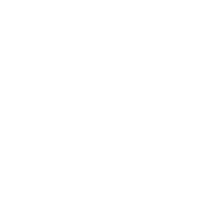 Avinor logo hvit