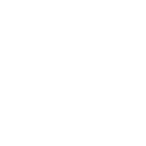 Voith Hydro AS hvit logo